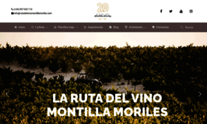 Turismoyvino.es thumbnail