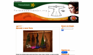Tusmanualidades.org thumbnail
