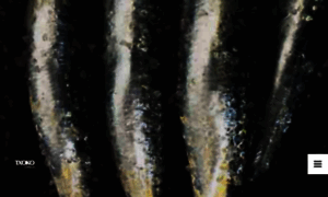 Txokogetaria.com thumbnail