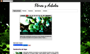 Una-flor.com thumbnail