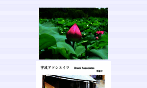 Unami-a.com thumbnail
