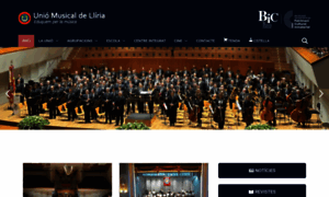 Unionmusicaldeliria.com thumbnail