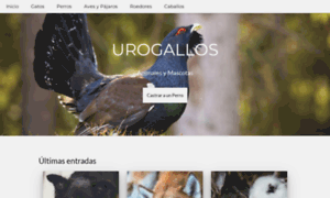 Urogallos.com thumbnail