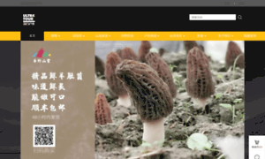 Utms.com.cn thumbnail