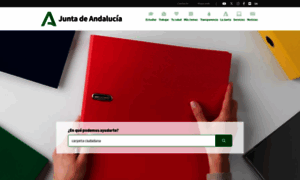 V.lajunta.es thumbnail