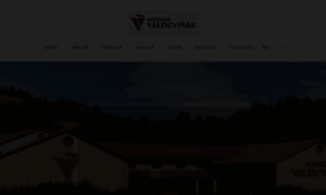 Valdevinas.es thumbnail