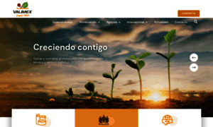 Valimex.es thumbnail