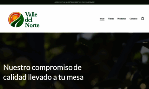 Vallenorte.cl thumbnail
