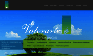 Valorarte.org.ar thumbnail