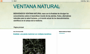 Ventananatural.blogspot.com thumbnail