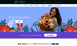 Verbenabox.com thumbnail