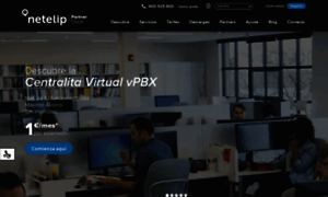 Verp.netelip.com thumbnail