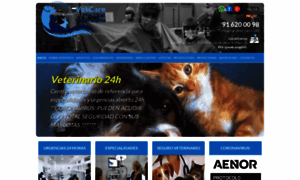 Vetcarehospitalveterinario.com thumbnail