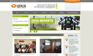 Veterinaria-udla.cl thumbnail