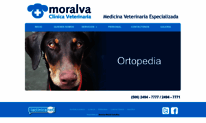 Veterinariamoralva.com thumbnail