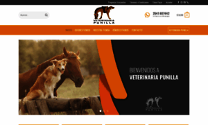 Veterinariapunilla.com thumbnail