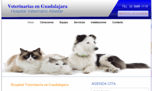 Veterinariasen.mx thumbnail