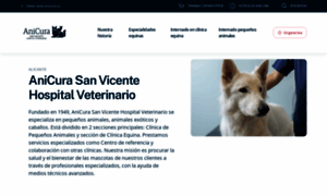 Veterinariosanvicente.com thumbnail