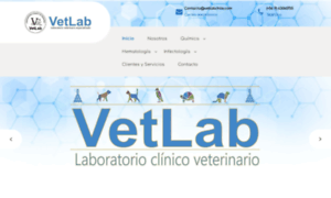 Vetlab.cl thumbnail