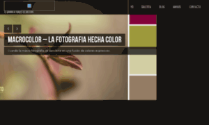 Vhgphoto.com thumbnail