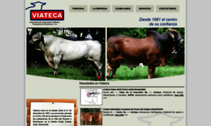 Viateca.com thumbnail