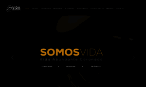 Vida.cr thumbnail