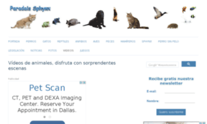 Videosdeanimales.paradais-sphynx.com thumbnail