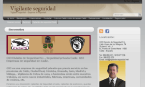 Vigilante-seguridad.net thumbnail