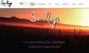 Vinyasonalegre.com thumbnail
