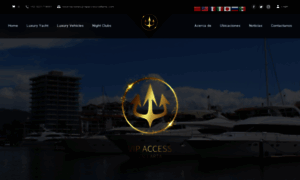 Vipaccessvallarta.com thumbnail