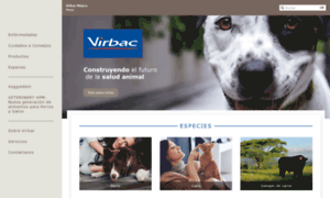 Virbac.mx thumbnail