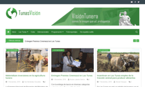 Visiontunera.icrt.cu thumbnail