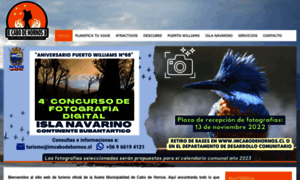 Visitacabodehornos.cl thumbnail