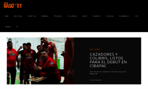 Vivabasquet.com thumbnail