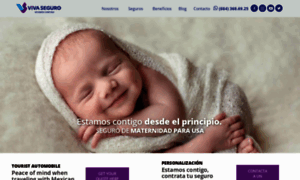 Vivaseguro.com.mx thumbnail