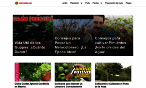 Vivetujardin.com thumbnail