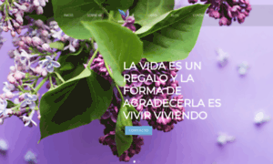 Vivirviviendo.com thumbnail