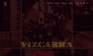 Vizcarra.es thumbnail