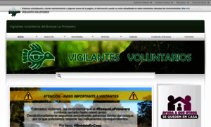Voluntariosblp.mx thumbnail
