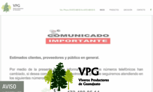 Vpg.com.mx thumbnail