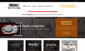 Wahlspain.es thumbnail