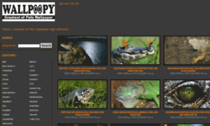 Wallpoopy.com thumbnail