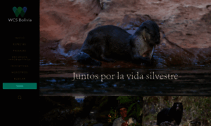 Wcsbolivia.org thumbnail