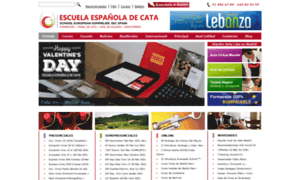 Web.escueladecata.com thumbnail