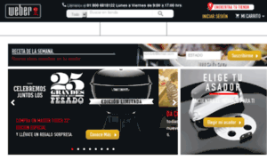 Webermexico.com thumbnail