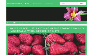 Webfire.biz thumbnail Webfire.biz thumbnail