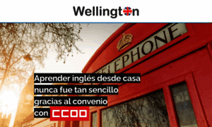 Wellington-fe-ccoo.com thumbnail