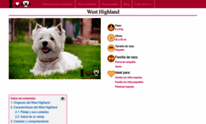 Westy.eu thumbnail