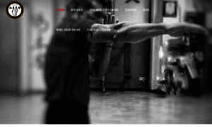 Wingchun-wt.es thumbnail