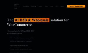 Woocommerce-b2b-plugin.com thumbnail